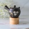 Handcrafted Japanese Kyusu Teapot with Filters (350 ml)