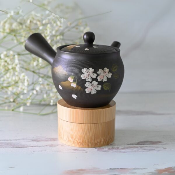 Handcrafted Japanese Kyusu Teapot with Filters (350 ml)