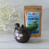 Handcrafted Japanese Kyusu Teapot with Filters (350 ml)