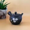 Handcrafted Japanese Kyusu Teapot with Filters (350 ml)