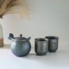 Japanese Kyusu Set - Teapot with Filters (230ml) and Two Cups