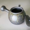 Japanese Kyusu Set - Teapot with Filters (230ml) and Two Cups