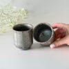 Japanese Kyusu Set - Teapot with Filters (230ml) and Two Cups